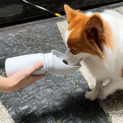 Pet Outdoor Walking Portable Water Bottle