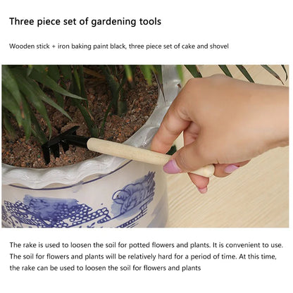 Mini Gardening Miniature Planting Kit