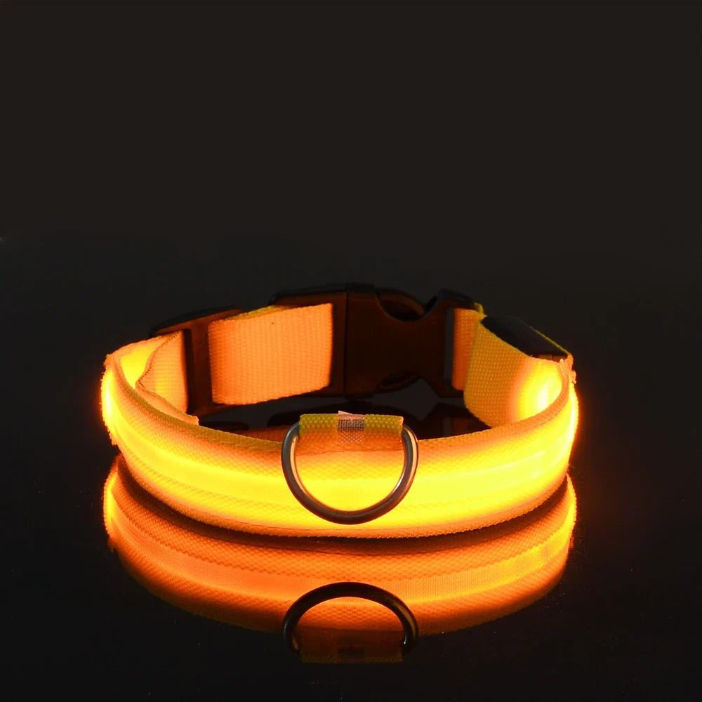 Dog Nylon LED Night Safety Flashing Collar