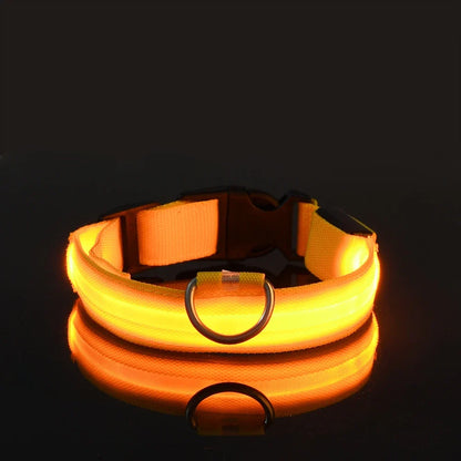 Dog Nylon LED Night Safety Flashing Collar