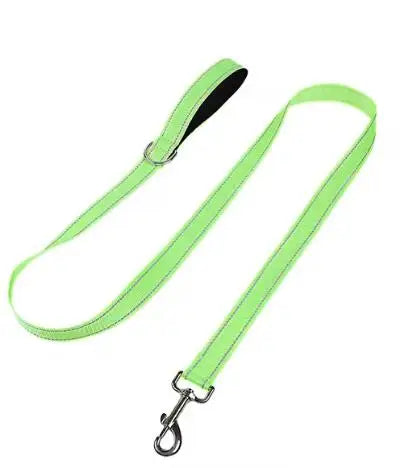 Dog Night Reflection Lead Strap