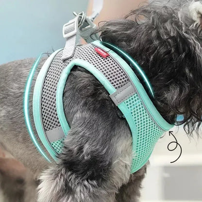 Dog Adjustable Harness Vest Set