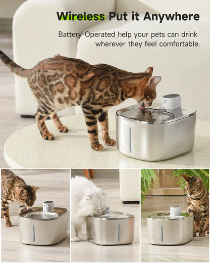 Cat 4L Wireless Drinking Water Fountain