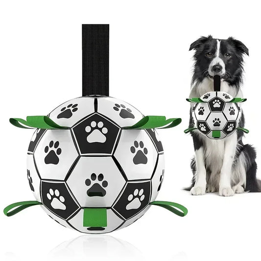 Sturdy Dog Ball Fetch Interactive Toy