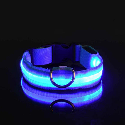 Dog Nylon LED Night Safety Flashing Collar