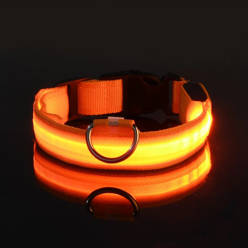 Dog Nylon LED Night Safety Flashing Collar