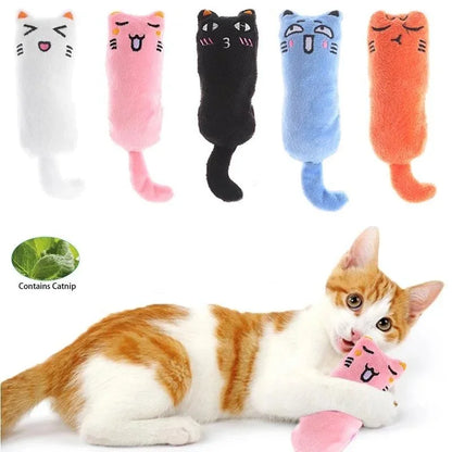 Pet Rustle Sound Catnip Toy