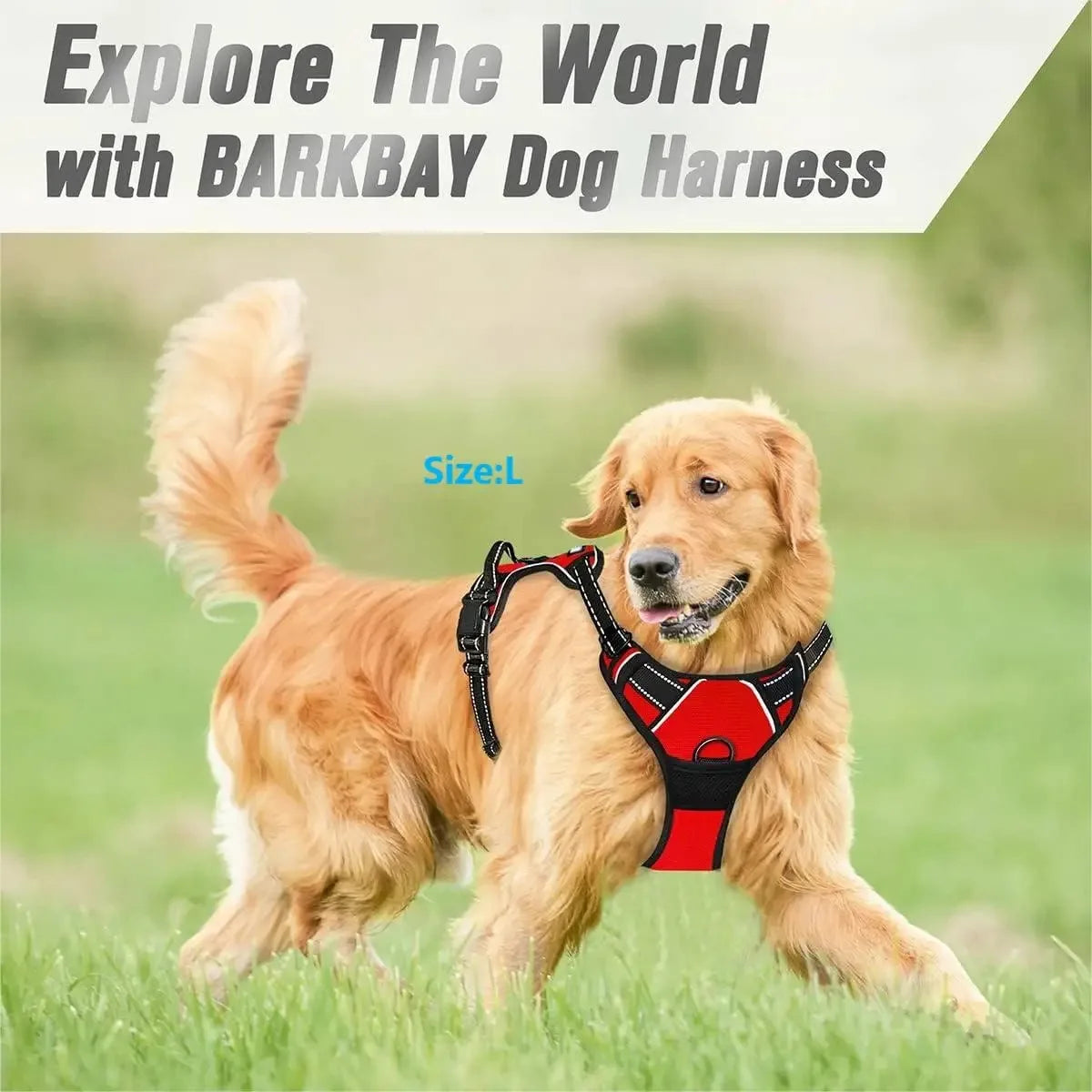 Dog Collars Harness Set