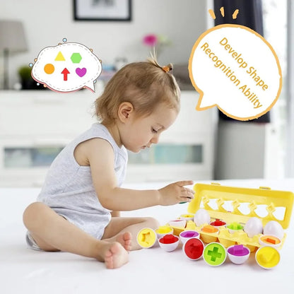 Baby Smart Eggs Puzzle Sorter Toy
