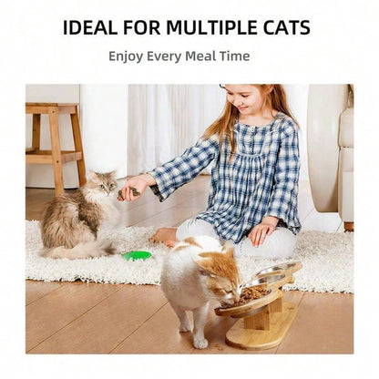 Cat 3 in 1  Wood Bracket Food Bowl