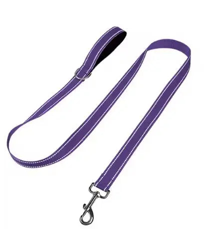 Dog Night Reflection Lead Strap
