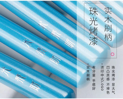 Sculpting Eyeshadow Brushes Whole Set