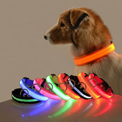 Dog Nylon LED Night Safety Flashing Collar