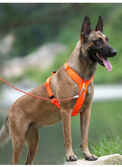 Pet Adjustable Reflective Harness