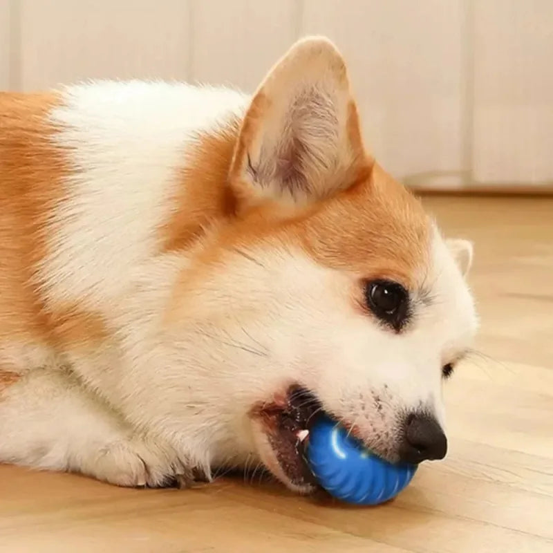 Dog Automatic Moving Bouncing Rolling Ball Toy