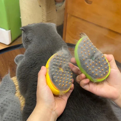 Cat Electric Sprayer for Massage Brush