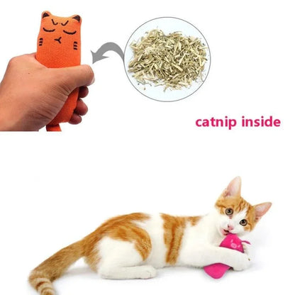 Pet Rustle Sound Catnip Toy