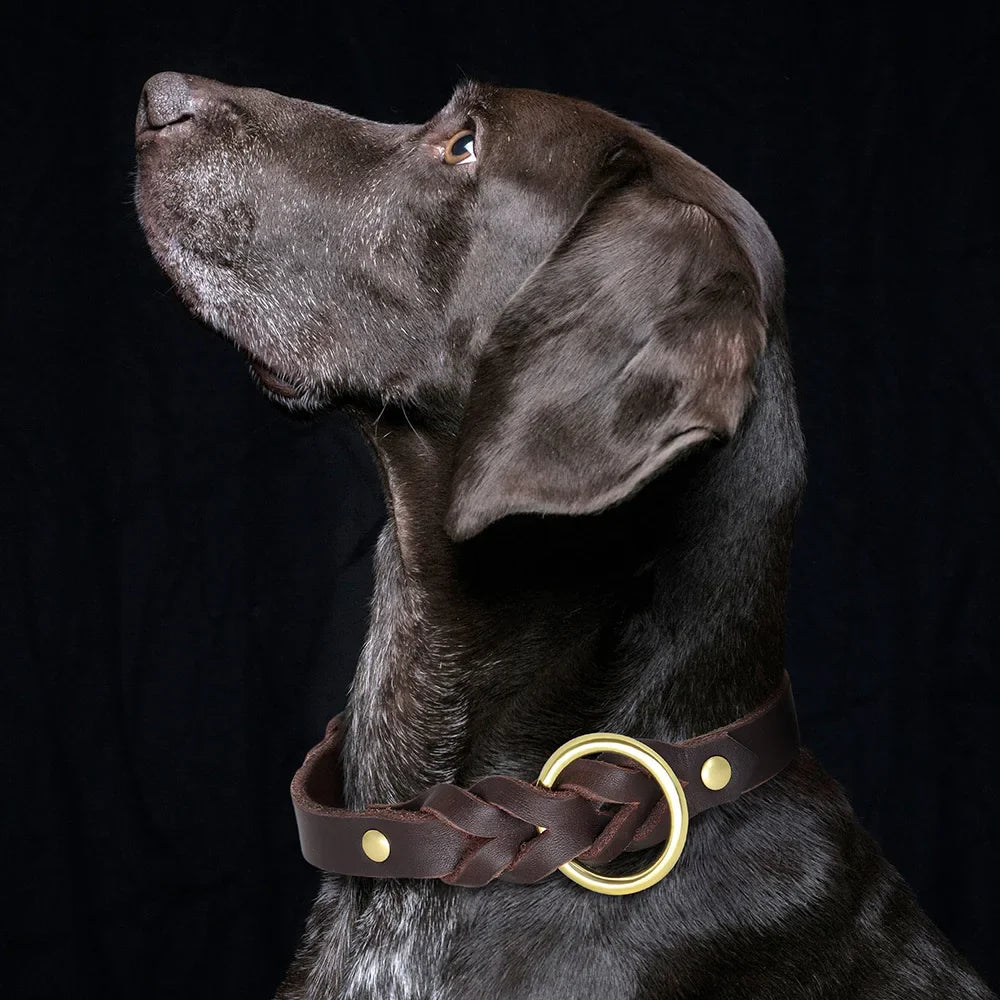 Dog Genuine Leather  Collar Leash Set