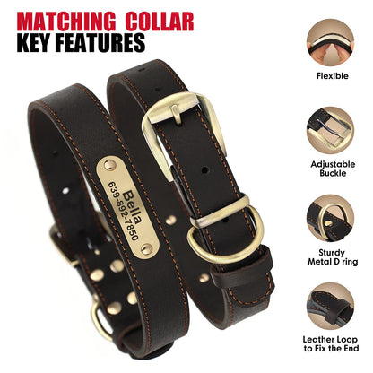 Dog Durable Genuine Leather Collar Leash Set