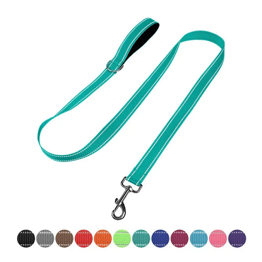 Dog Night Reflection Lead Strap
