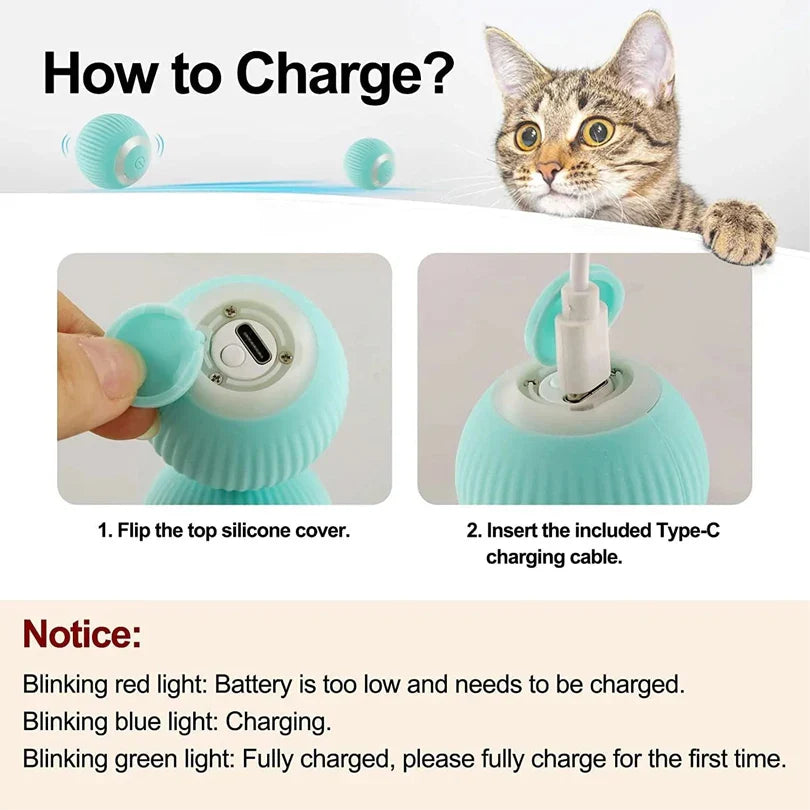 Pet Automatic Moving Indoor  Car Toy