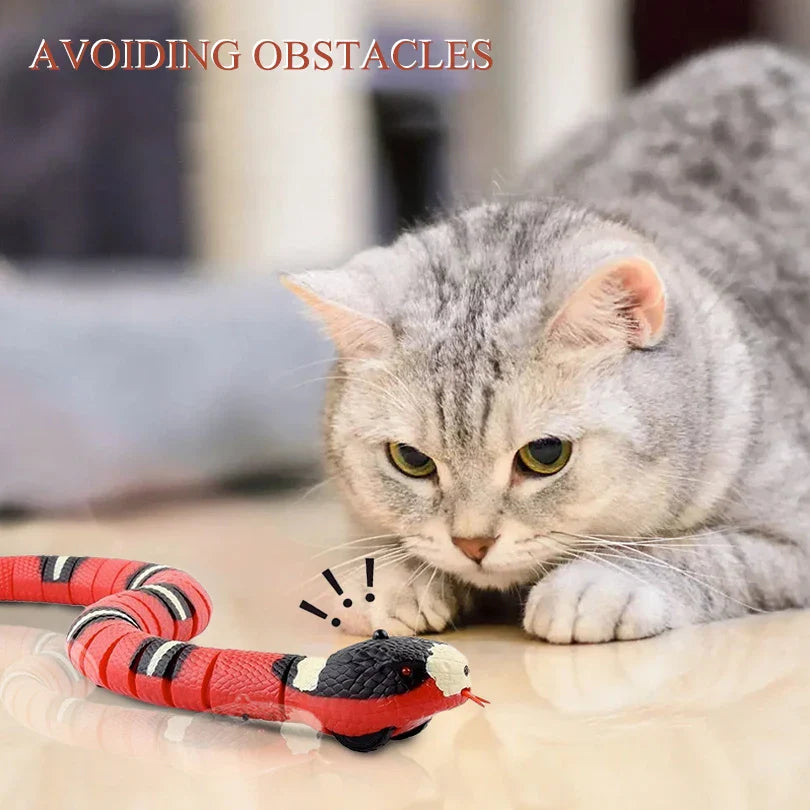 Pet Automatic Moving Indoor  Car Toy