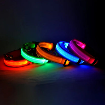 Dog Nylon LED Night Safety Flashing Collar