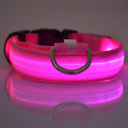 Dog Nylon LED Night Safety Flashing Collar
