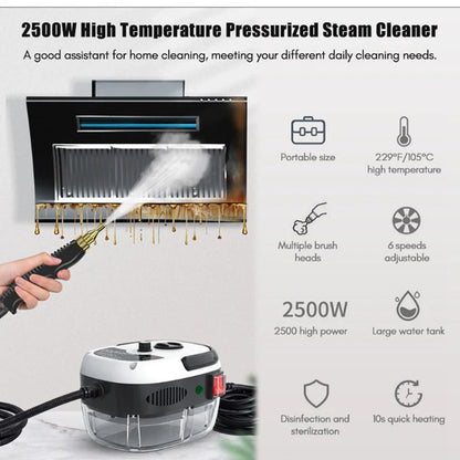 High Temperature Sterilization Steam Cleaner