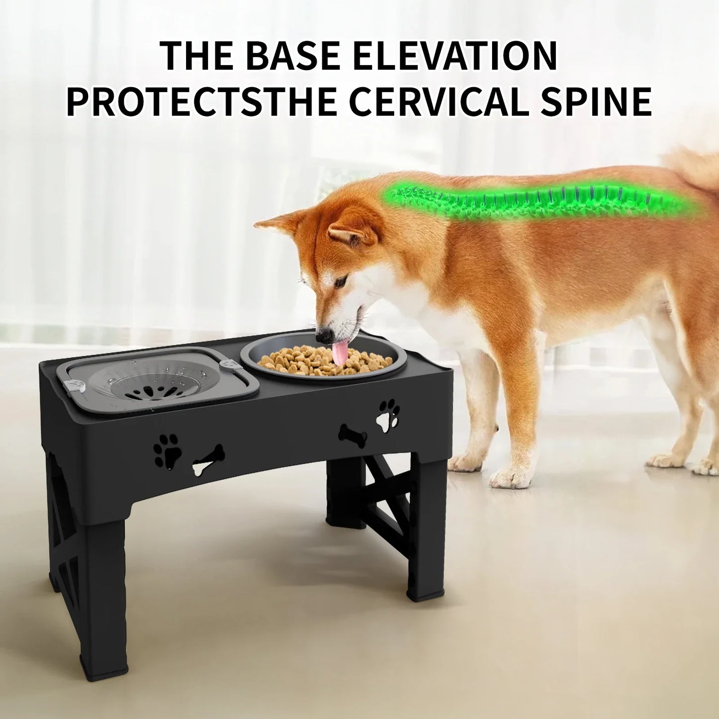 Pet 3 In 1 Foldable Double Bowl