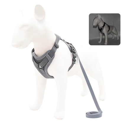 Dog Adjustable Chest Strap Harness Set
