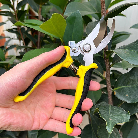 Garden Professional Pruning Trees Scissor
