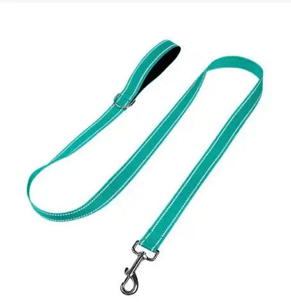 Dog Night Reflection Lead Strap