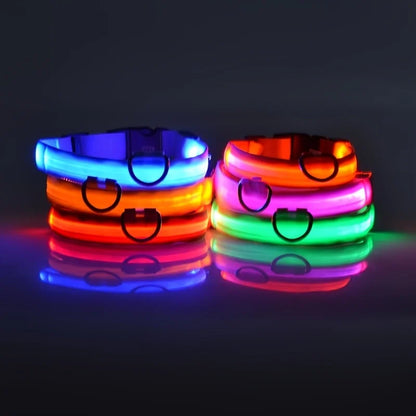Dog Nylon LED Night Safety Flashing Collar