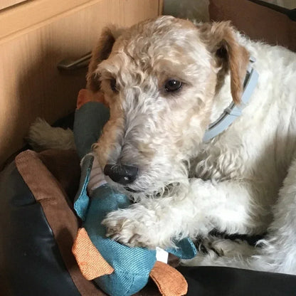 Dog Squeaky Wild Teeth Cleaning Toy