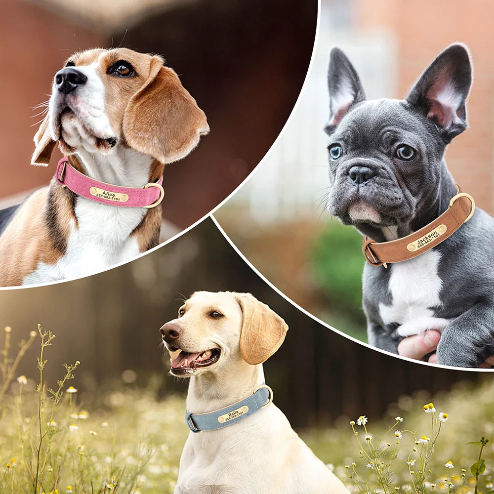 Dog Custom Engraved PU Leather Collar