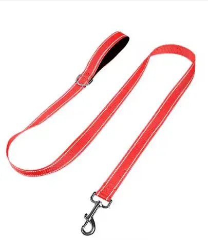 Dog Night Reflection Lead Strap