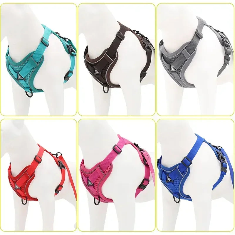 Dog Adjustable Chest Strap Harness Set