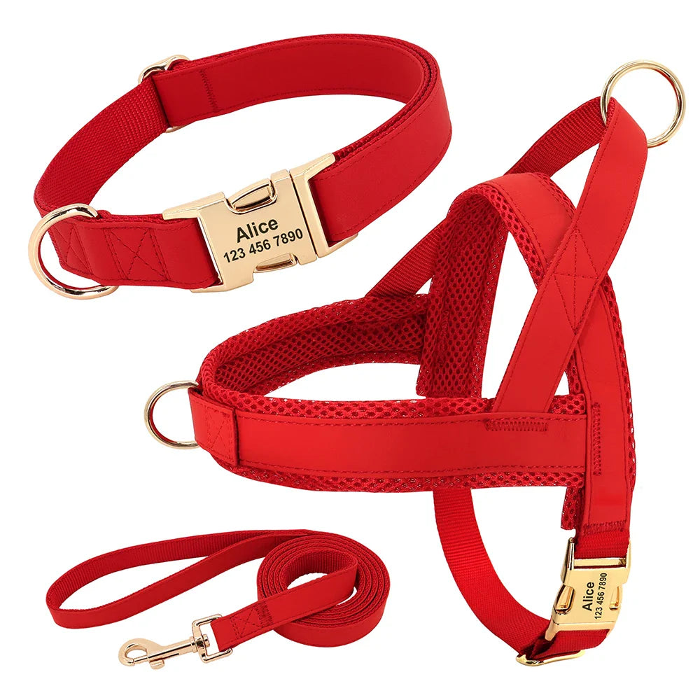 Dog Personalized Collar Harness Leash Set