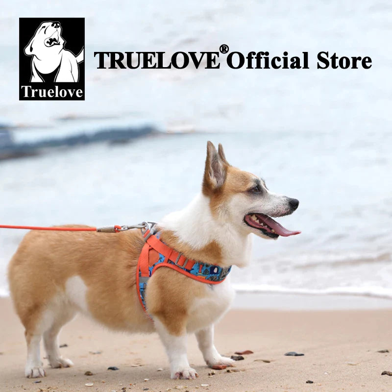 Dog Truelove Floral Printing Mesh Harness