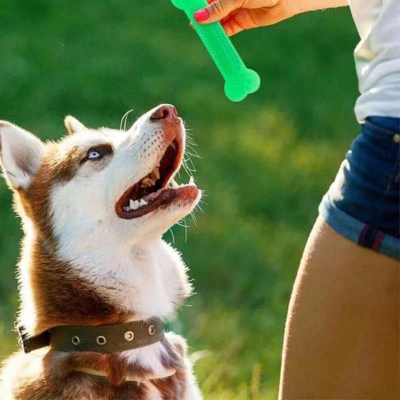 Dog Chew Rubber Bone Toy