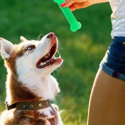 Dog Chew Rubber Bone Toy