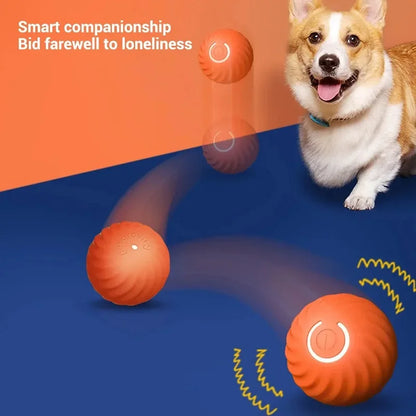 Dog Automatic Moving Bouncing Rolling Ball Toy