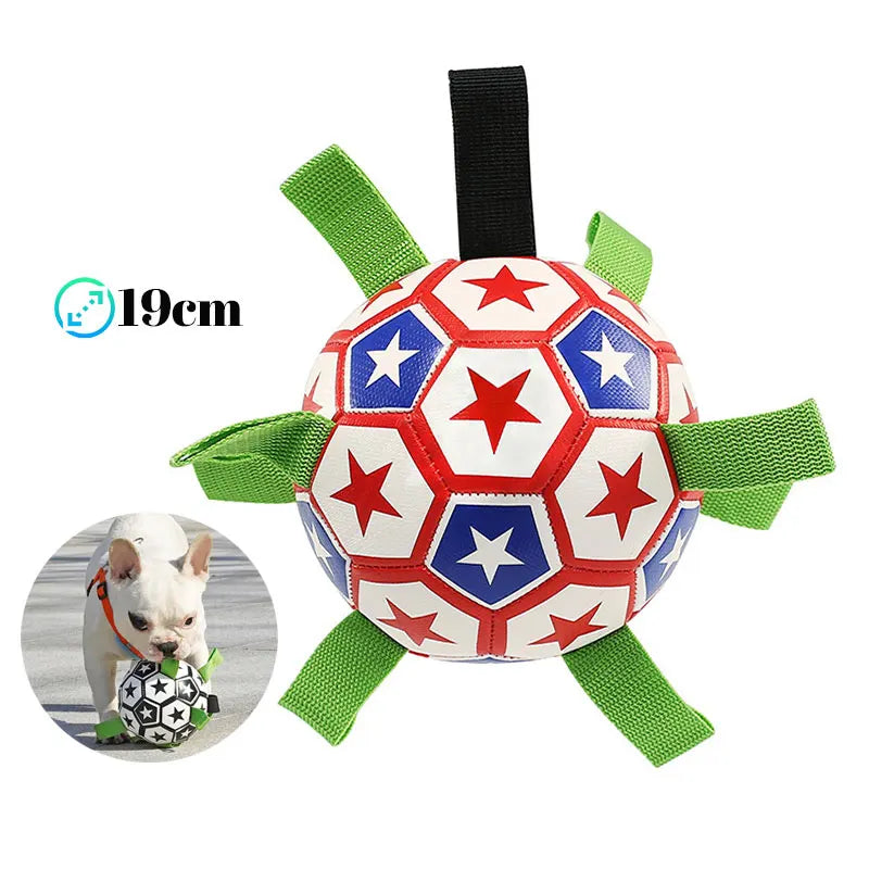 Sturdy Dog Ball Fetch Interactive Toy