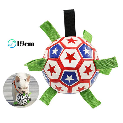 Sturdy Dog Ball Fetch Interactive Toy