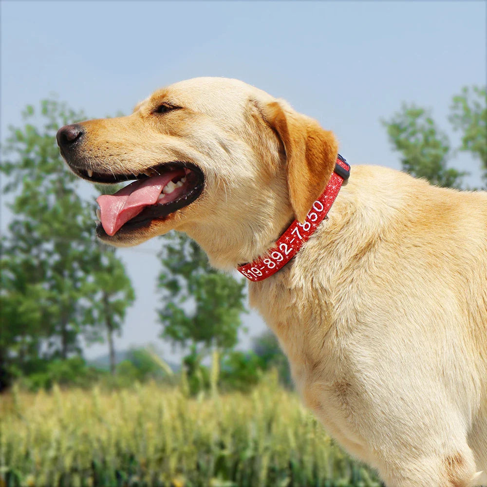 Dog Adjustable Nylon Embroidered Collar