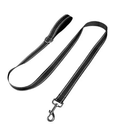 Dog Night Reflection Lead Strap