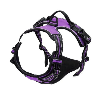 Dog Collars Harness Set