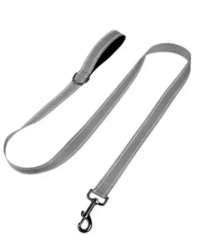 Dog Night Reflection Lead Strap