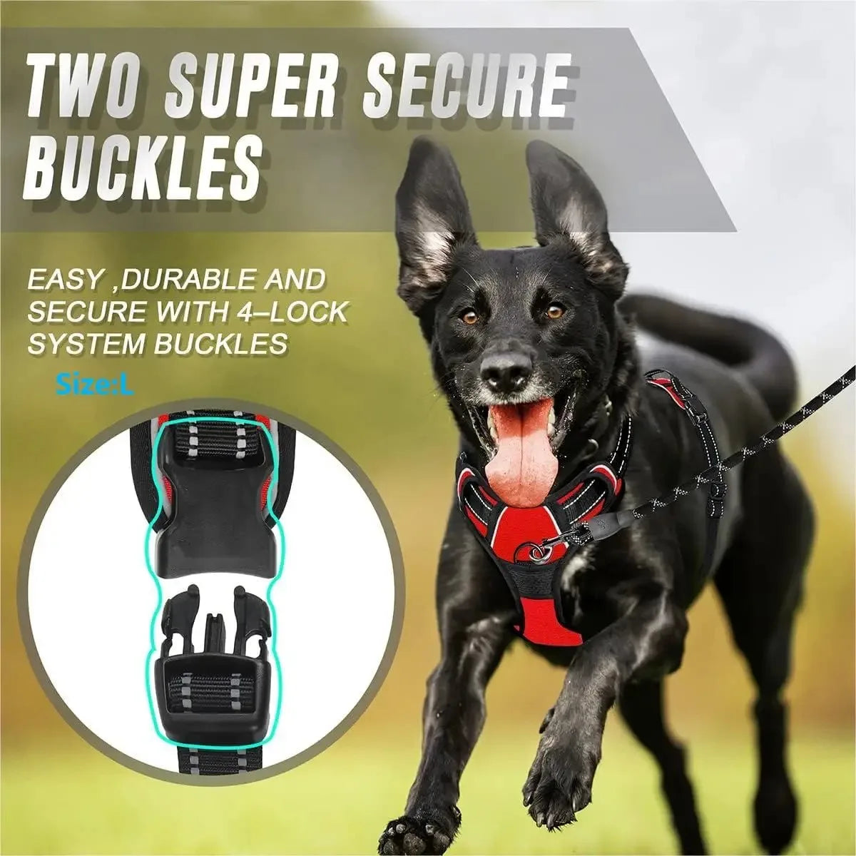 Dog Collars Harness Set